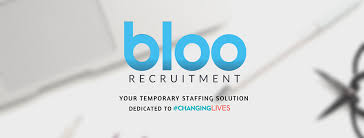 Temporary Recruitment Agency Surrey  - Bloo Recruitment